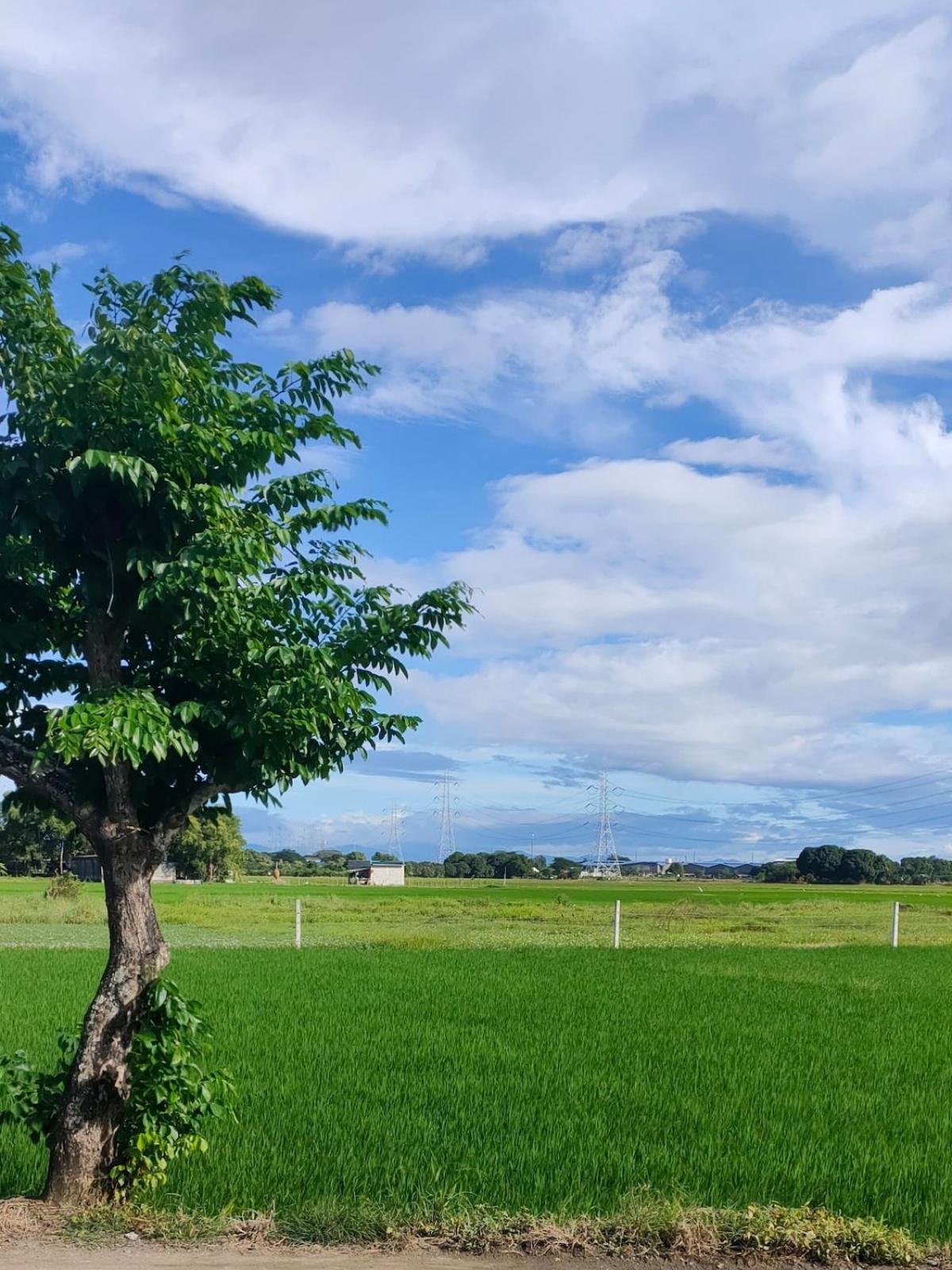 Praise Farmhouse - Private Farmhouse Staycation Baliuag エクステリア 写真