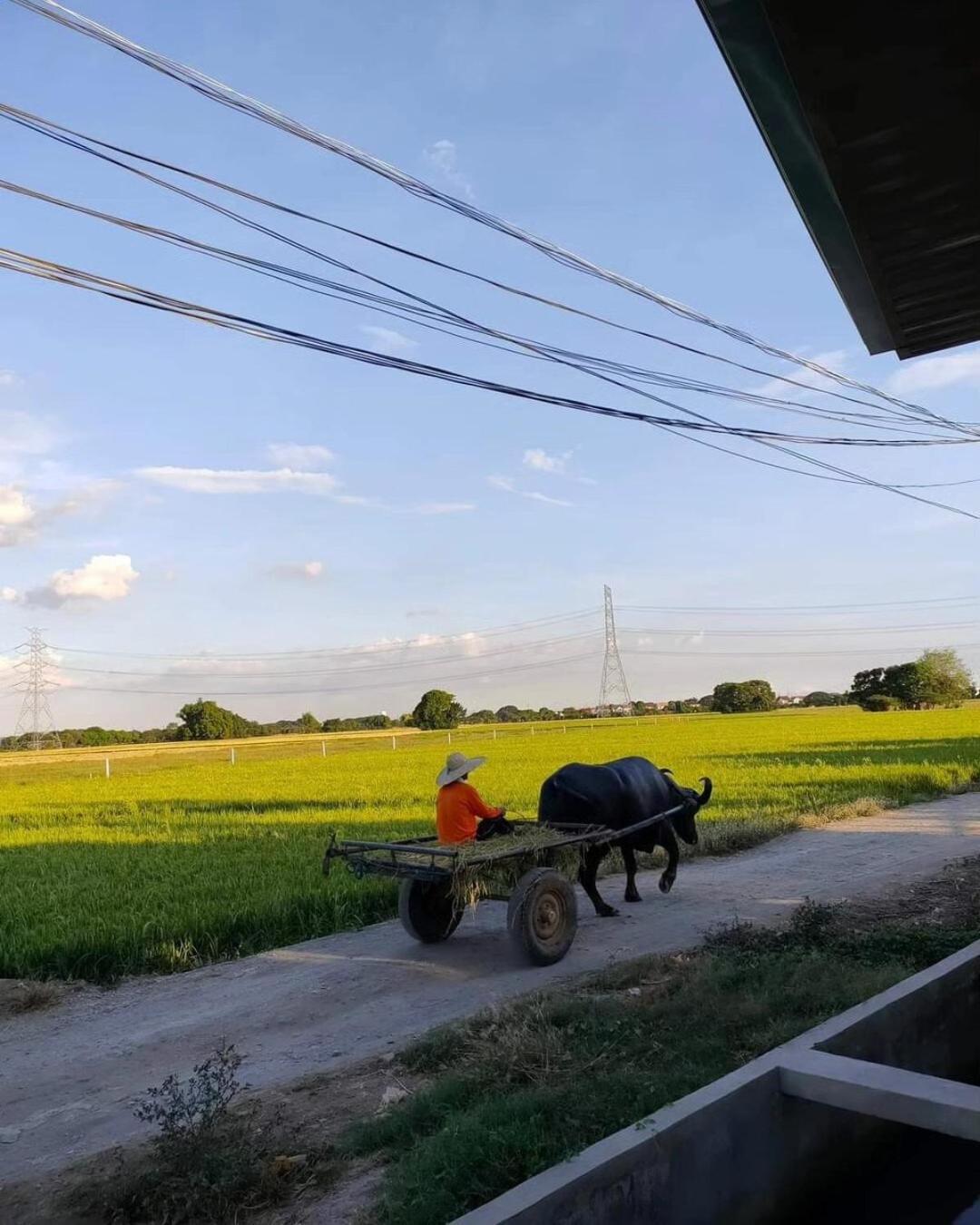 Praise Farmhouse - Private Farmhouse Staycation Baliuag エクステリア 写真