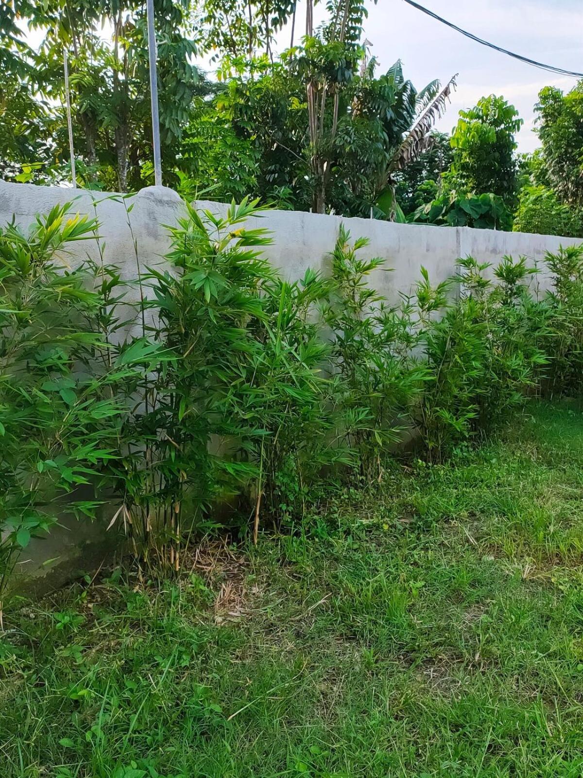 Praise Farmhouse - Private Farmhouse Staycation Baliuag エクステリア 写真